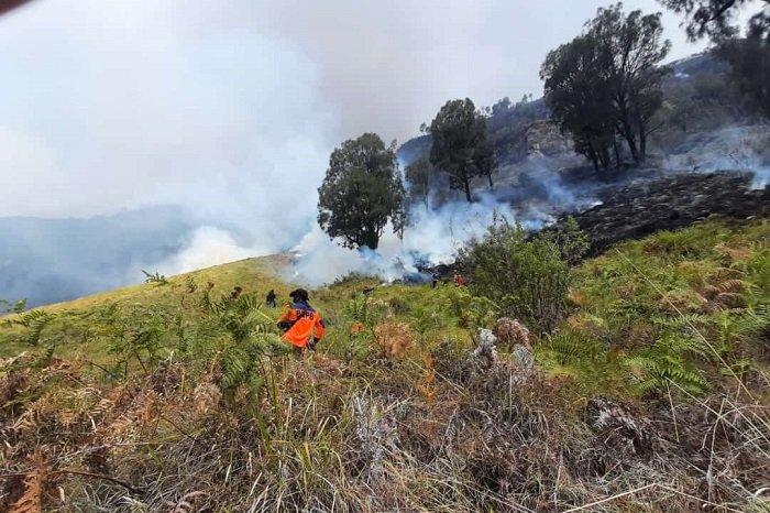 Upaya pemadaman dan monitoring karthula di Bukit Teletubies, kawasan wisata Taman Nasional Bromo Tengger Semeru, Jumat, 31/8/2023. (Dok. BPBD Kabupaten Probolinggo)

