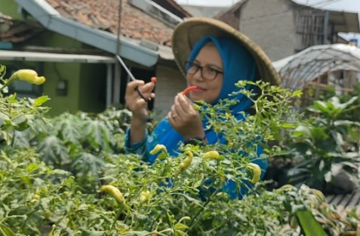 Urban Farming di Kelurahan Padjajaran, Kecamatan Cicendo, Kota Bandung. (Dok. BRI)