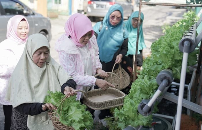 CSR BRI Peduli BRInita (Bertani di Kota) bersama warga Kelurahan Surabaya, Kecamatan Kedaton, Kota Bandar Lampung berkolaborasi mengambil peran dalam perbaikan dan pelestarian lingkungan masyarakat sekitar. (Dok. BRI)