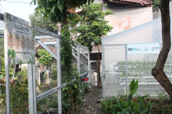 Satu wilayah yang menerapkan pengembangan dan budi daya tanaman hidroponik adalah Kampung Hijau Kemuning yang merupakan salah satu wilayah di Kecamatan Curug, Kelurahan Binong, Kabupaten Tangerang. (Dok. BRI)
