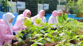 BRI mengambil bagian penting dengan melakukan pemberdayaan masyarakat, terutama kaum Wanita dengan membuat ekosistem urban farming yang berkelanjutan. (Dok. BRI)