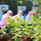 BRI mengambil bagian penting dengan melakukan pemberdayaan masyarakat, terutama kaum Wanita dengan membuat ekosistem urban farming yang berkelanjutan. (Dok. BRI)