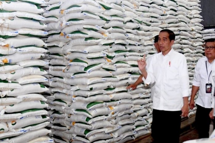 Presiden Jokowi saat meninjau Gudang Bulog Rawang Timur, Kota Padang, Sumatera Barat. (Dok. Presidenri.go.id)