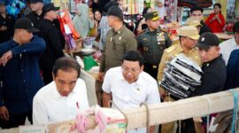 Presiden Joko Widodo ditemani Kepala Bapanas Arief Prasetyo Adi mengunjungi Pasar Lacaria, di Kabupaten Kolaka Utara, Provinsi Sulawesi Tenggara. (Dok. Tim Komunikasi Bapanas)