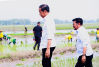 Presiden Jokowi saat didampingi Menteri Pertanian Syahrul Yasin Limpo (Mentan SYL) melakukan tanam padi di Desa Senori, Kecamatan Merakurak, Kabupaten Tuban, Jawa Timur. (Dok: Biro Pers)