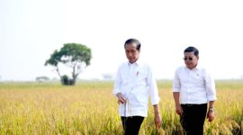 Presiden Jokowi dan Kepala Badan Pangan Nasional (Bapanas) Arief Prasetyo Adi. (Dok. TIm Komunikasi Bapanas)