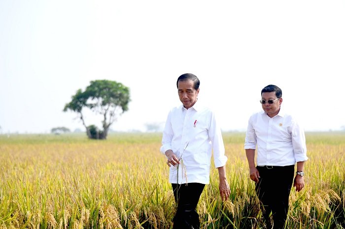 Presiden Jokowi dan Kepala Badan Pangan Nasional (Bapanas) Arief Prasetyo Adi. (Dok. TIm Komunikasi Bapanas)