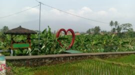 Desa Cisako. (Dok. BRI)