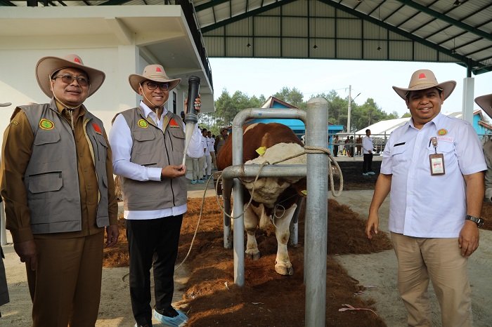 Wakil Menteri Pertanian (Wamentan) Sudaryono Optimistis Indonesia Wujudkan Swasembada Susu dan Daging Sapi. (Dok. Pertanian.go.id)

