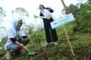 BRI melaksanakan beberapa program lingkungan, termasuk program Zero Waste to Landfill dan program penghijauan BRI Menanam & BRI Menanam Grow & Green. (Dok. Bank BRI)