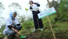 BRI melaksanakan beberapa program lingkungan, termasuk program Zero Waste to Landfill dan program penghijauan BRI Menanam & BRI Menanam Grow & Green. (Dok. Bank BRI)