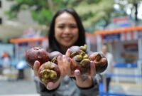 Klaster Usaha Manggis Bhuana Sari saat ikut serta dalam Bazaar UMKM BRILiaN yang berlangsung di Area Taman BRI, Jakarta pada Jumat (18/10/2024). (Dok. BRI)