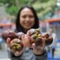 Klaster Usaha Manggis Bhuana Sari saat ikut serta dalam Bazaar UMKM BRILiaN yang berlangsung di Area Taman BRI, Jakarta pada Jumat (18/10/2024). (Dok. BRI)