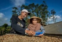 BRI berhasil mencatat penyaluran kredit sebesar Rp1.353,36 triliun hingga akhir Triwulan III 2024. (Dok. BRI)