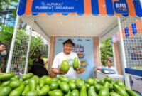 Ketua Klaster Pusat Pemasaran dan Edukasi Budidaya Alpukat (Pusbikat) di Desa Baran Gembongan, Semarang, Agus Riyadi. (Dok. BRI)