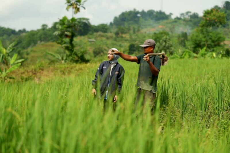 Berhasil menyalurkan Kredit Usaha Rakyat (KUR) sebesar Rp184,98 triliun, BRI terus berkomitmen dalam mendukung pemberdayaan UMKM di Indonesa. (Dok. BRI)