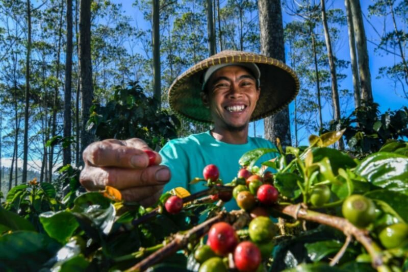 Komitmen mendukung pengembangan UMKM sebagai motor utama perekonomian nasional, BRI mengedepankan program pemberdayaan melalui pelatihan dan pendampingan. (Dok. BRI) 