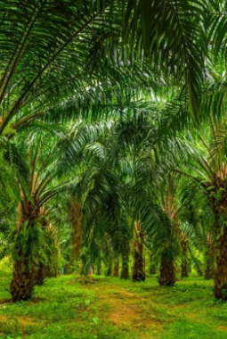 Komisaris PT PAL Terlibat Korupsi Kredit Investasi BNI di Palembang