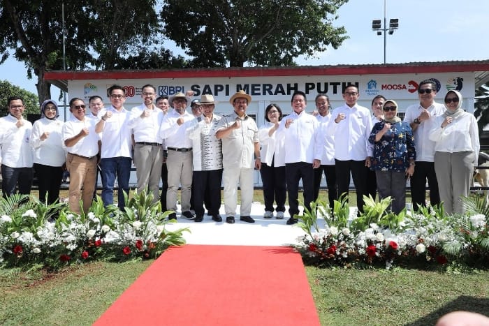 BRI hadir di Program Sapi Merah Putih! Ini bukti komitmen BRI untuk mendukung swasembada pangan dan perkuat peternak lokal di Indonesia. (Dok. BRI)
