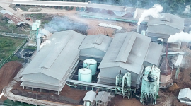 1. Gozco Plantations sukses membalikkan kerugian jadi laba lewat strategi efisiensi yang tepat sasaran. (Dok. gozco.com)