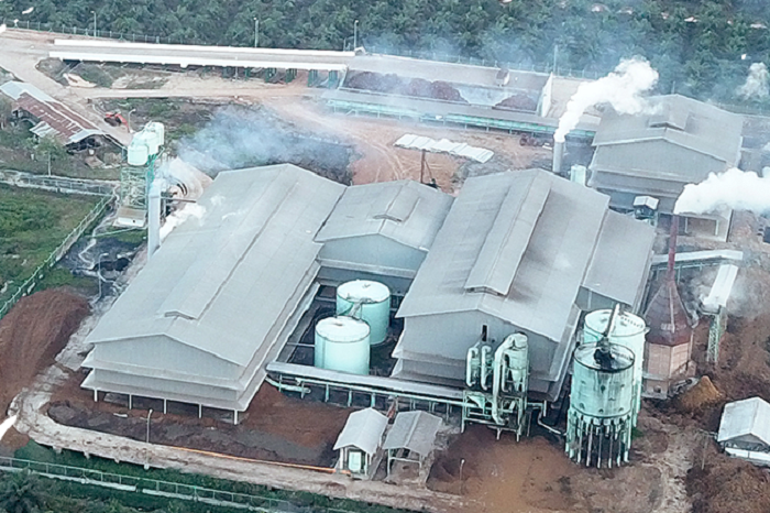 1. Gozco Plantations sukses membalikkan kerugian jadi laba lewat strategi efisiensi yang tepat sasaran. (Dok. gozco.com)