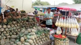 Dari nanas segar jadi produk olahan! Kisah Nanas Nadi buktikan KUR BRI dan digitalisasi bantu UMKM lokal naik kelas dan berdaya. (Dok. BRI)