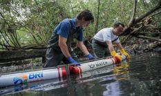 Hari Sungai Sedunia, BRI Peduli Ajak Jaga Tukad Badung Bali